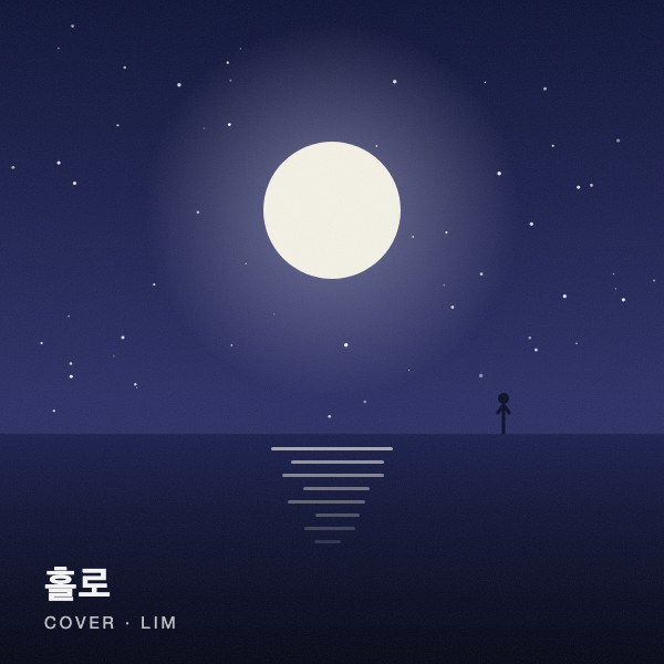 홀로 커버